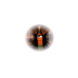 Vidiyel Trust